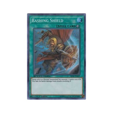 Bashing Shield