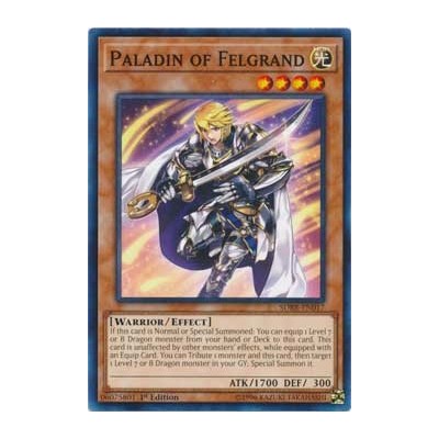 Paladin of Felgrand