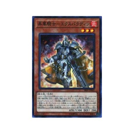 Sublime Knight - Expaladin