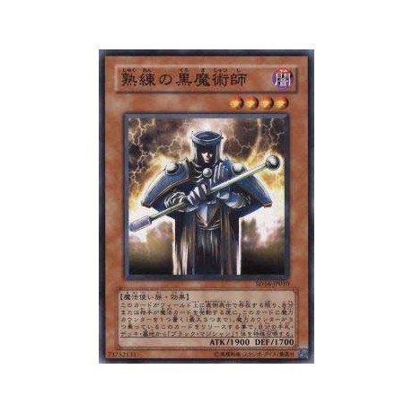 Skilled Dark Magician - SD16-JP010