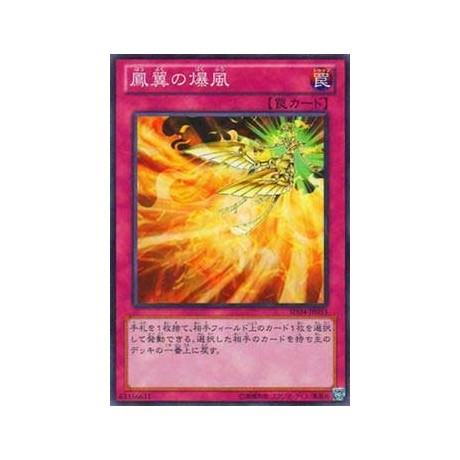 Phoenix Wing Wind Blast - SD24-JP033