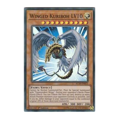 Winged Kuriboh LV10