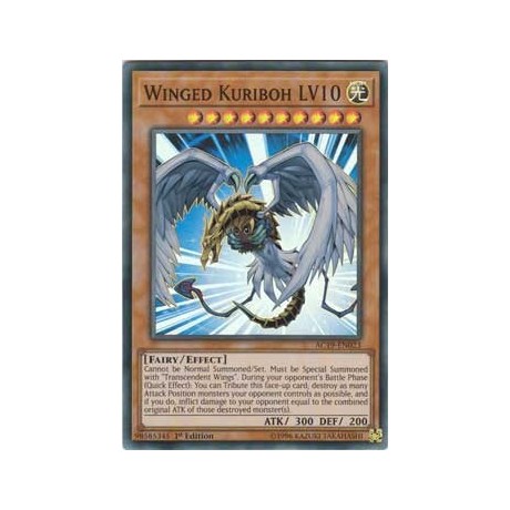 Winged Kuriboh LV10