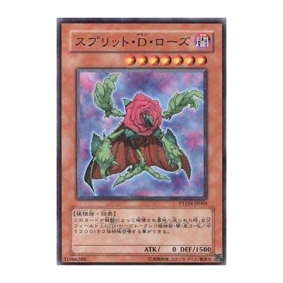 Regenerating Rose - PTDN-JP005 - Nova