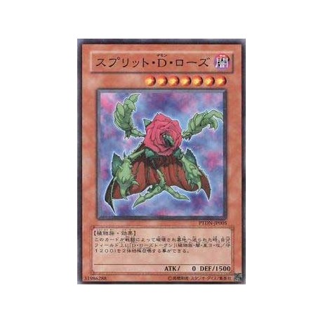 Regenerating Rose - PTDN-JP005 - Nova