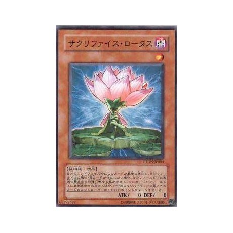 Samsara Lotus - PTDN-JP004 - Nova