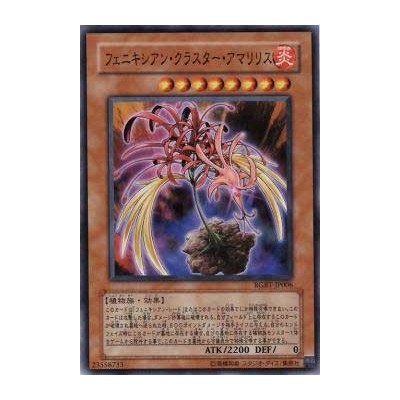 Phoenixian Cluster Amaryllis - RGBT-JP006