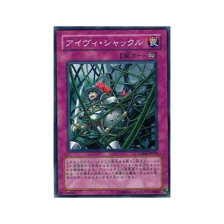 Ivy Shackles - CRMS-JP070 - Nova