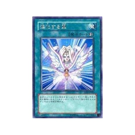 Transcendent Wings - CRV-JP045