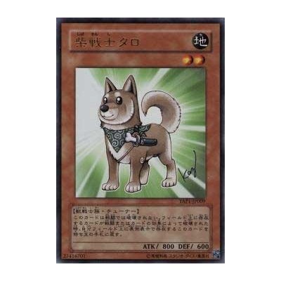 Shiba-Warrior Taro - YAP1-JP009