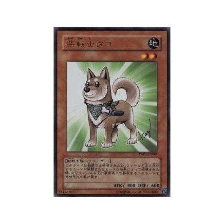 Shiba-Warrior Taro - YAP1-JP009