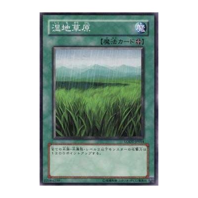 Wetlands - LODT-JP054