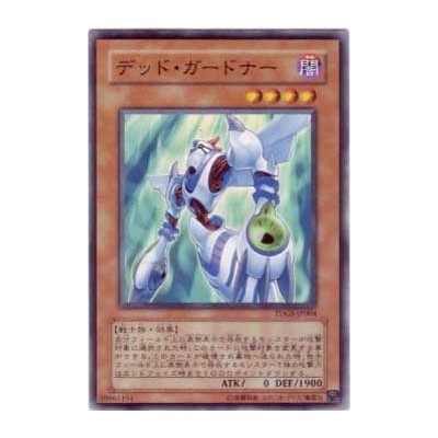 Ghost Gardna - TDGS-JP004 - Nova