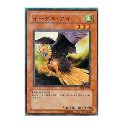 Eagle Eye - RDS-JP022