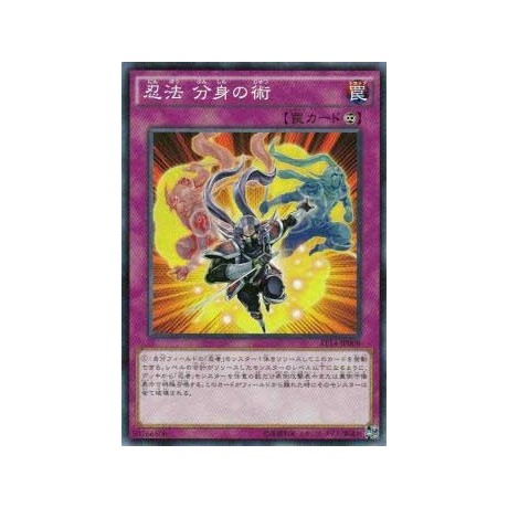 Ninjitsu Art of Duplication - AT14-JP008