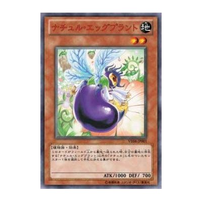 Naturia Eggplant - VE04-JP001