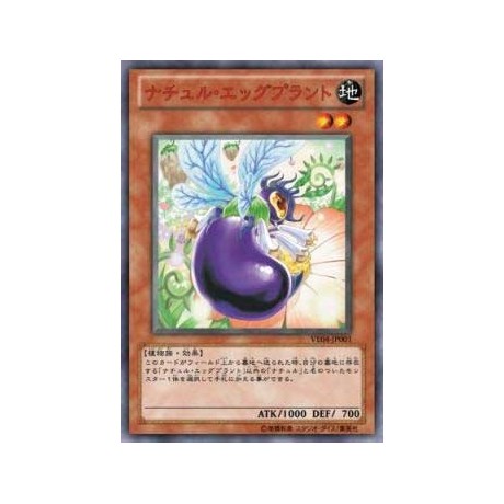 Naturia Eggplant - VE04-JP001