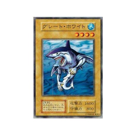 Great White - B3-13429800