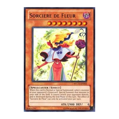 Sorciere de Fleur