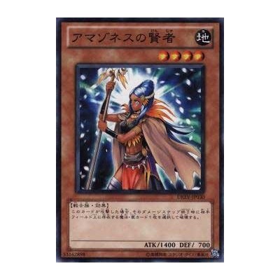 Amazoness Sage - DREV-JP030 - Nova