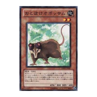 Playful Possum - DREV-JP007