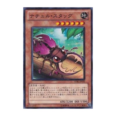 Naturia Stag Beetle - STBL-JP032 - Nova