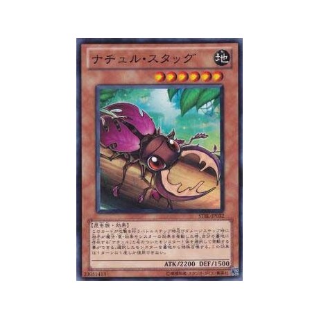 Naturia Stag Beetle - STBL-JP032 - Nova