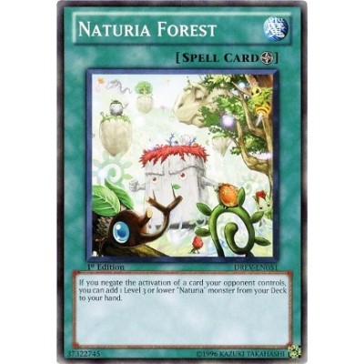 Naturia Forest - DREV-EN051