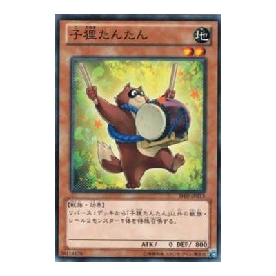 Baby Raccoon Tantan - SHSP-JP015 - Nova