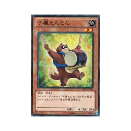 Baby Raccoon Tantan - SHSP-JP015 - Nova