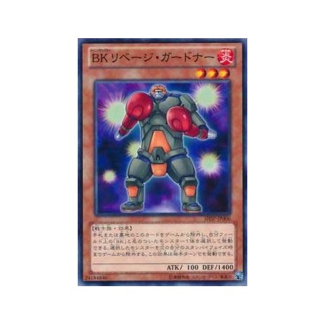 Battlin' Boxer Rib Gardna - SHSP-JP006