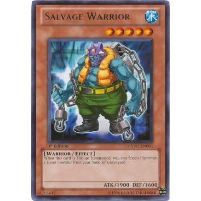 Salvage Warrior - EXVC-EN003