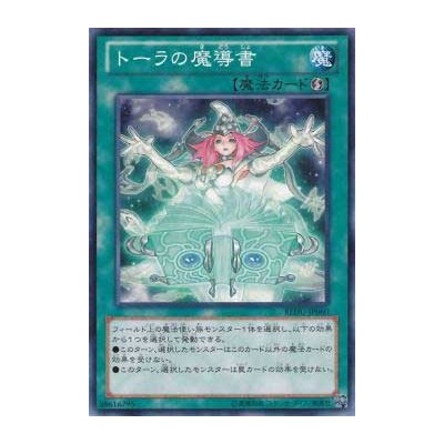 Spellbook of Wisdom - REDU-JP060 - Nova