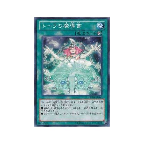 Spellbook of Wisdom - REDU-JP060 - Nova