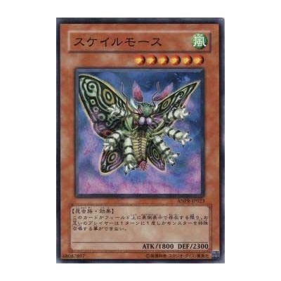 Scary Moth - ANPR-JP023 - Nova