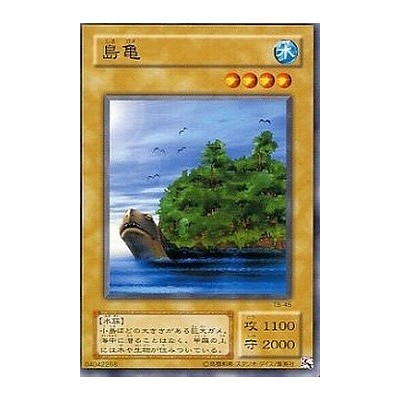 Island Turtle - TB-45 - Nova