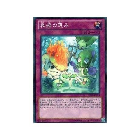 Sylvan Blessing - LVAL-JP073