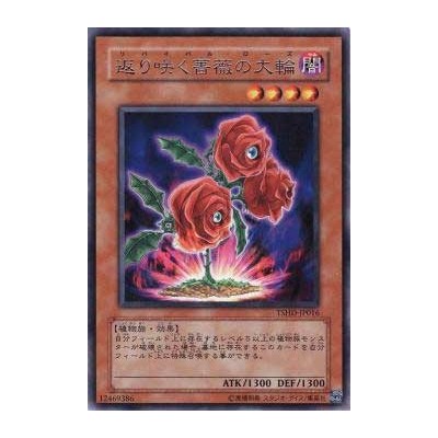 Revival Rose - TSHD-JP016 - Nova