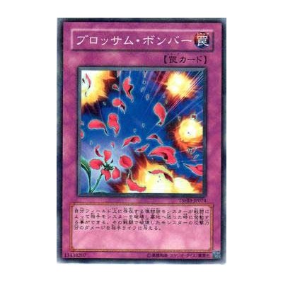 Blossom Bombardment - TSHD-JP074