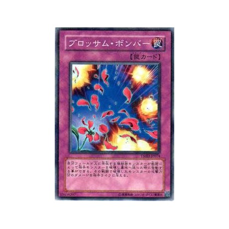 Blossom Bombardment - TSHD-JP074