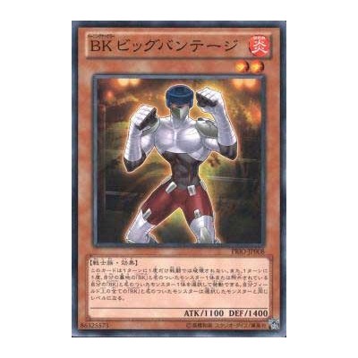 Battlin' Boxer Big Bandage - PRIO-JP008