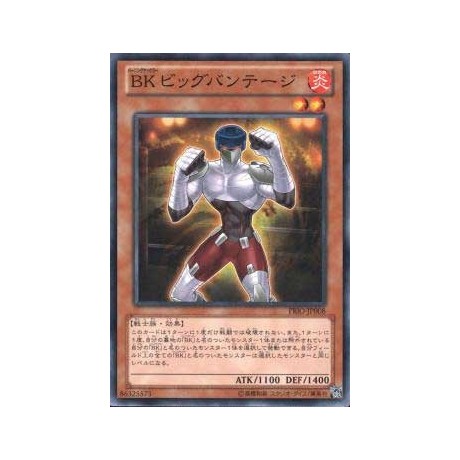 Battlin' Boxer Big Bandage - PRIO-JP008