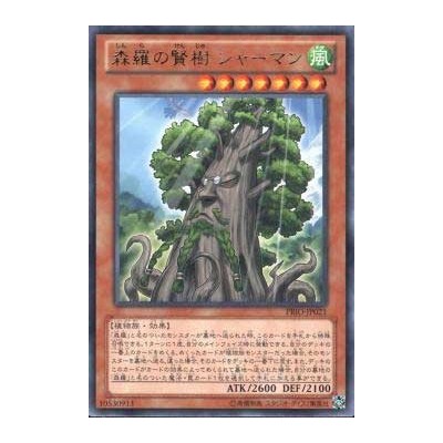 Sylvan Sagequoia - PRIO-JP021