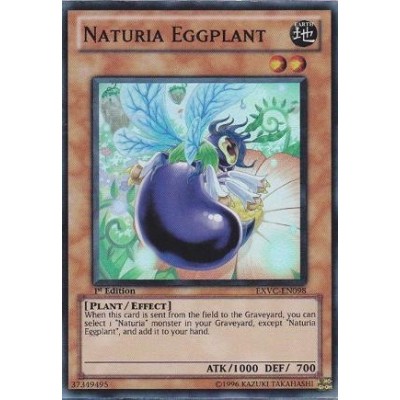 Naturia Eggplant