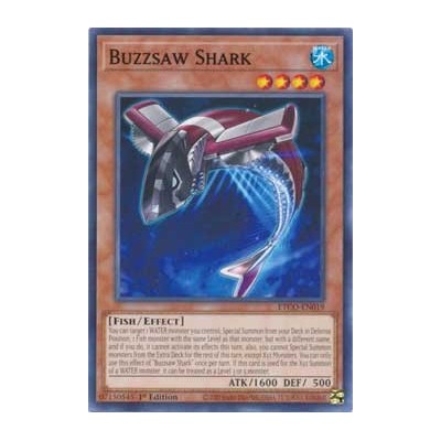 Buzzsaw Shark