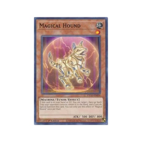 Magical Hound