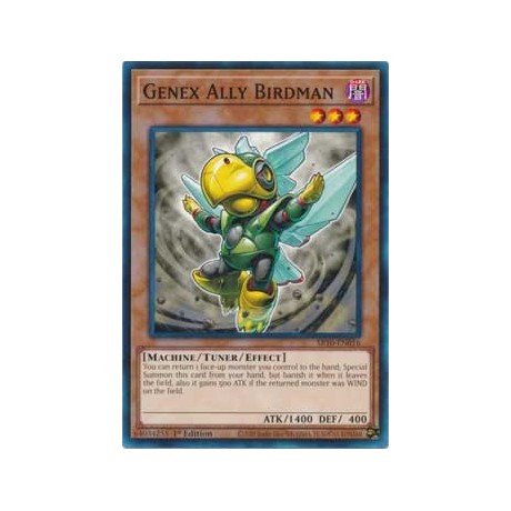 Genex Ally Birdman