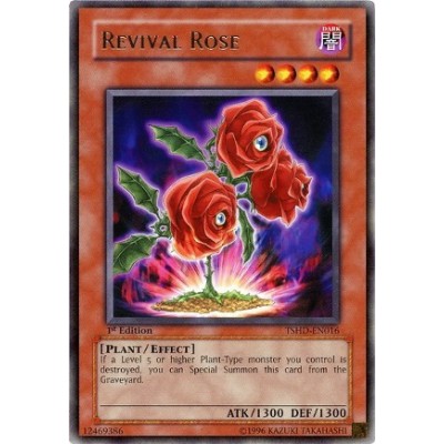 Revival Rose - TSHD-EN016