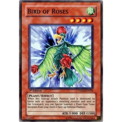 Bird of Roses - TSHD-EN018