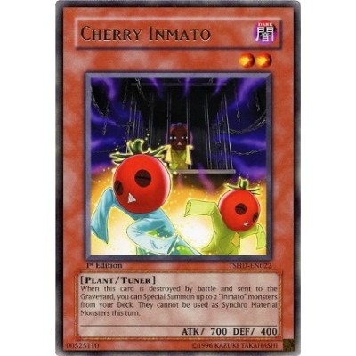 Cherry Inmato - TSHD-EN022